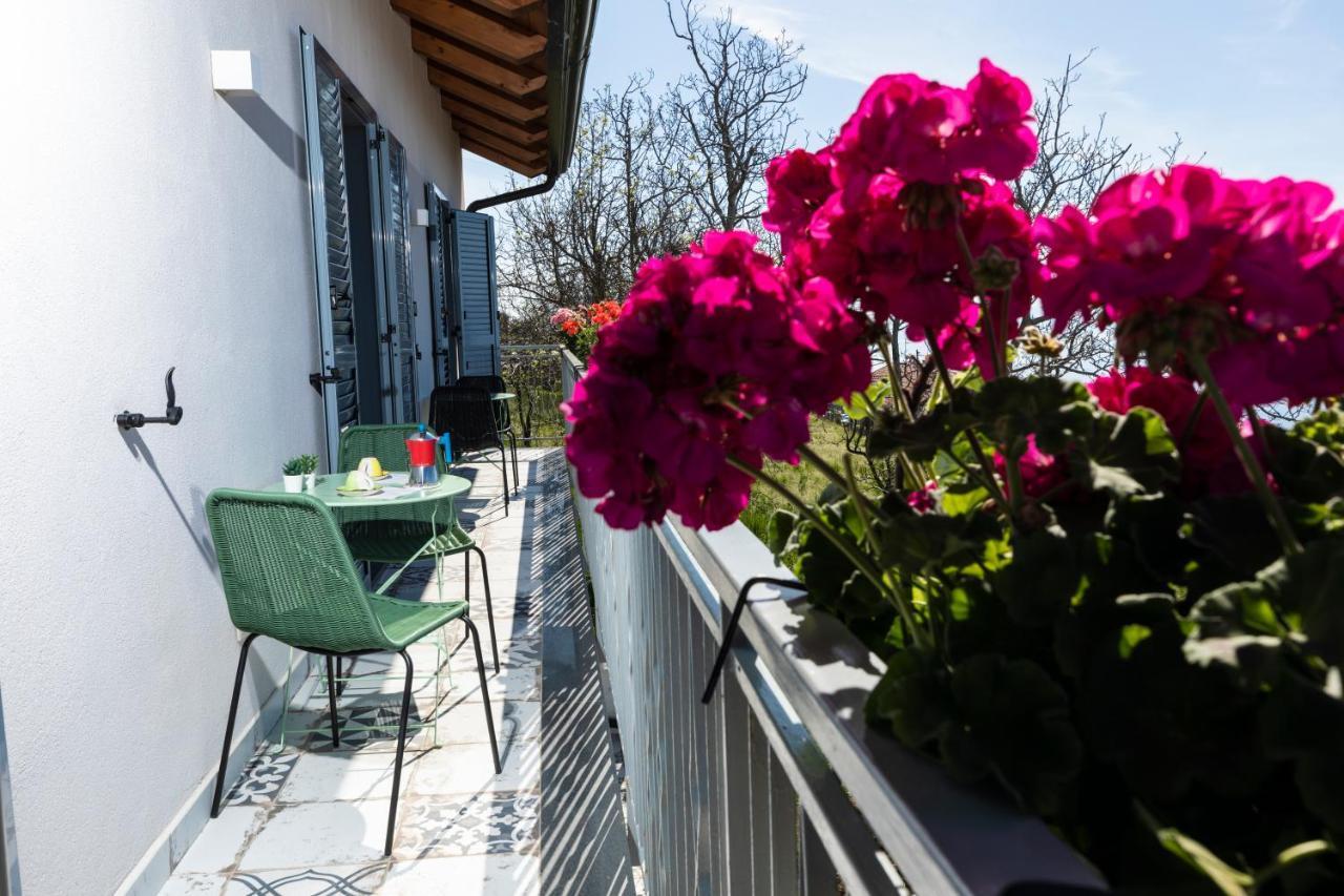 Plein Sud Agerola Bed & Breakfast San Lazzaro di Agerola Exterior photo